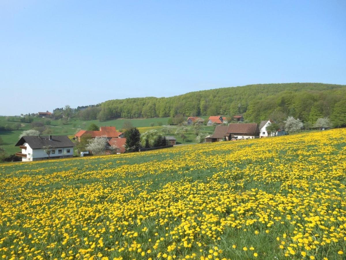 Ferienwohnung Oettersbach Poppenhausen Bagian luar foto